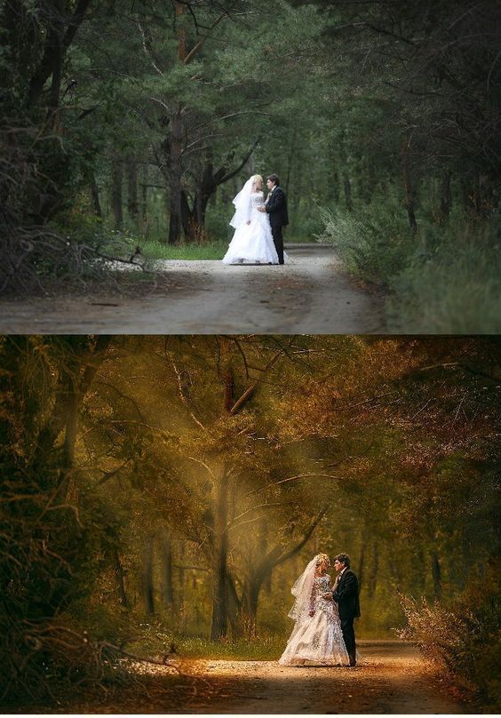 A bride and groom stand on a forest path, sharing a kiss in a wedding scene; natural light above, trees framing them.