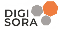 DIGISORA logo: the wordmark on the left with three hexagons (orange and gray) to the right.